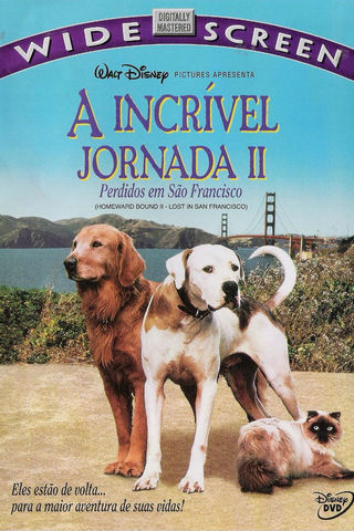 A Incrível Jornada 2 - Perdidos em São Francisco