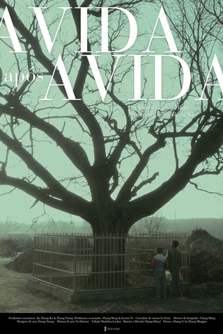 A vida após a vida