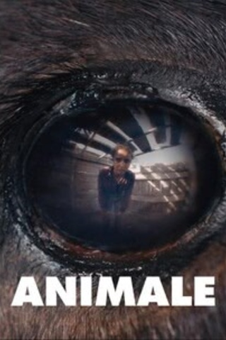 Animale
