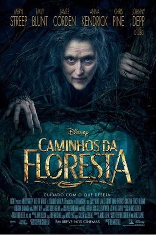Caminhos Da Floresta