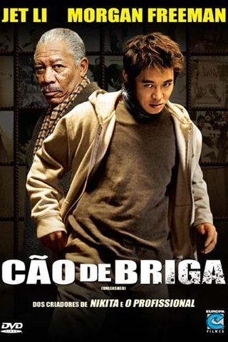 Cão de Briga