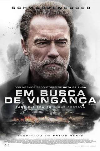Em Busca de Vingança