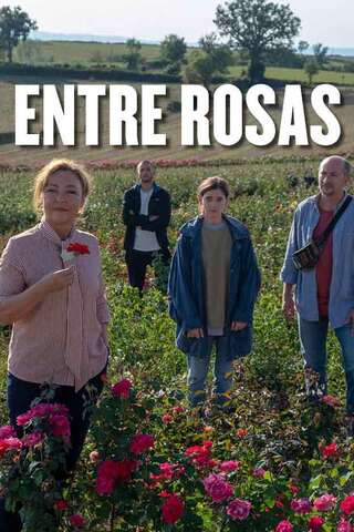 Entre Rosas