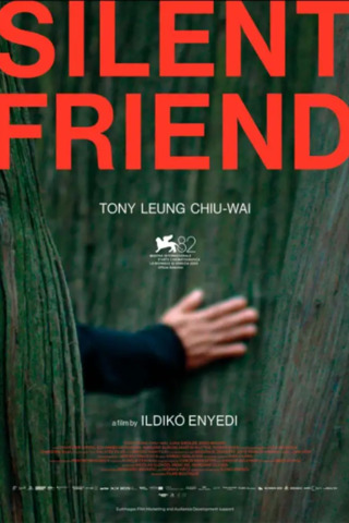 Festival Imovision – Amiga Silenciosa