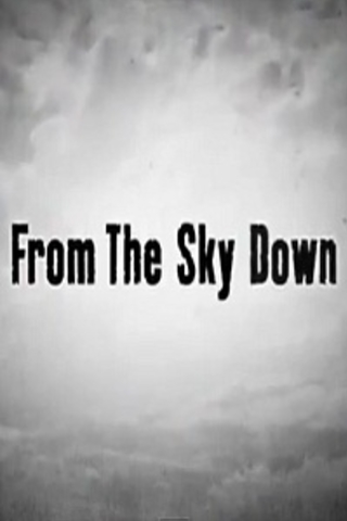 From The Sky Down