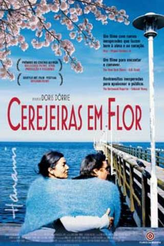 Hanami - Cerejeiras em Flor