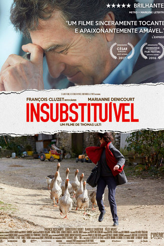 Insubstituível