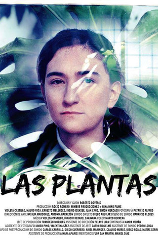LAS PLANTAS 