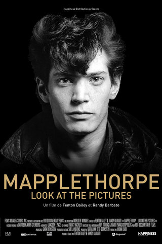 Mapplethorpe: Look at the Pictures 