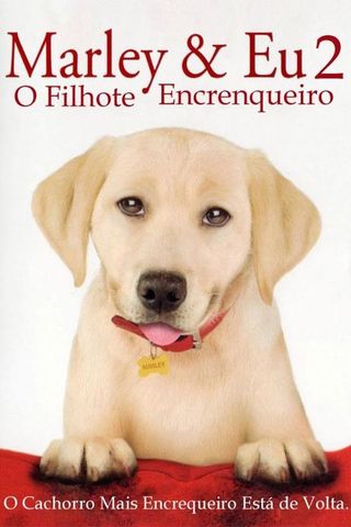 Marley & Eu 2 - O Filhote Encrenqueiro