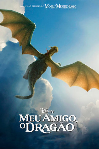 Meu amigo, o dragão