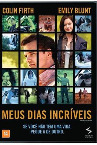 Meus Dias Incríveis