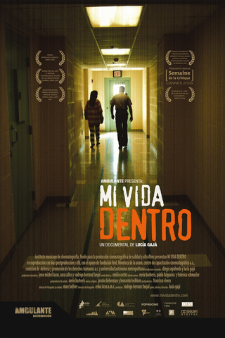 Mi vida dentro