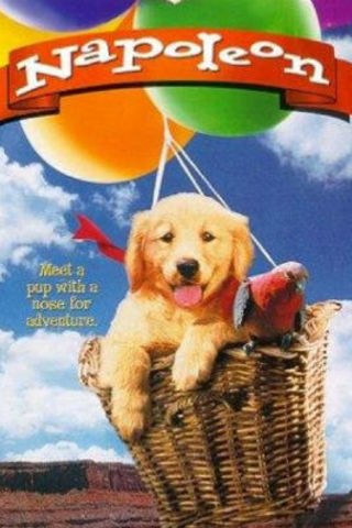 Napoleon - As Aventuras de um Cãozinho Valente