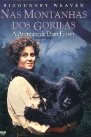 Nas Montanhas dos Gorilas