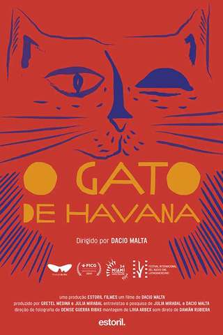 O Gato de Havana