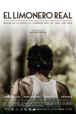 O Limoeiro Real