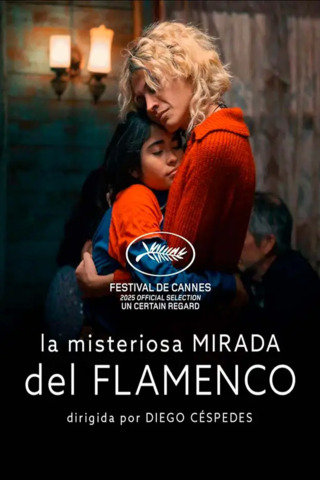 O Olhar Misterioso Do Flamingo