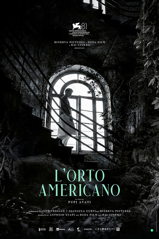 O Quintal Americano