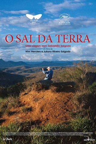 O sal da terra