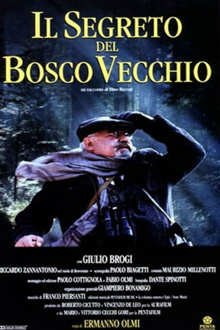 O segredo do bosque velho
