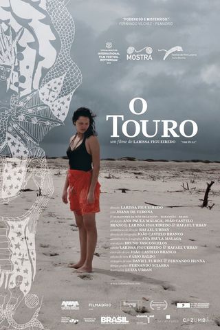 O Touro