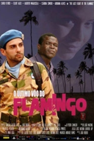 O Último Voo do Flamingo