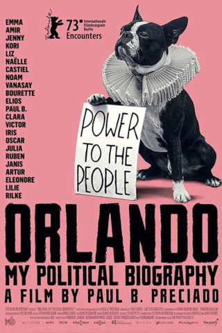 Orlando; Minha Biografia Política