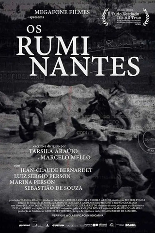 Os Ruminantes
