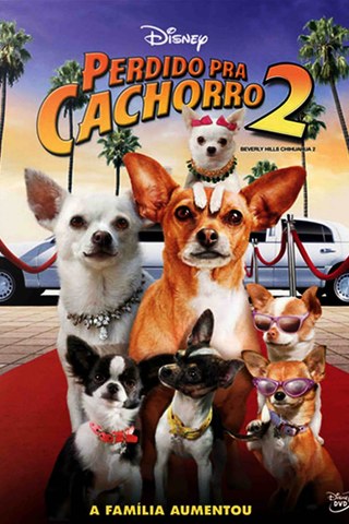 Perdido Pra Cachorro 2