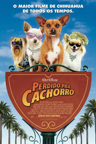 Perdido pra Cachorro