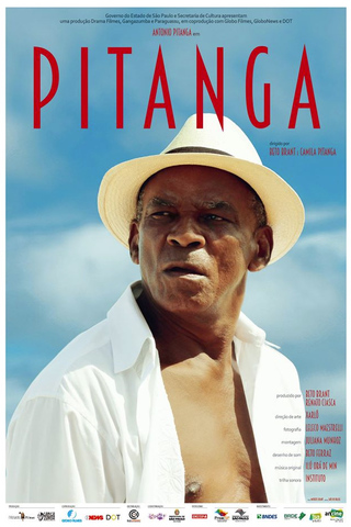 Pitanga 