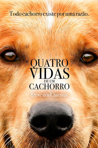 Quatro Vidas de um Cachorro