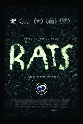 Rats: Realidade Urbana