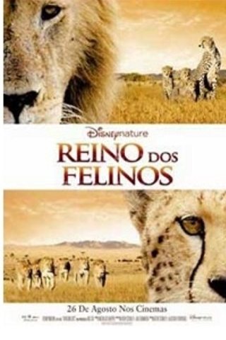Reino dos Felinos