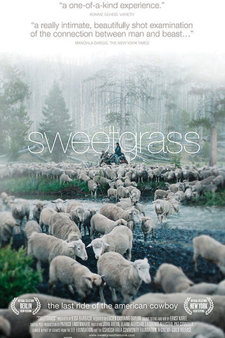 Sweetgrass