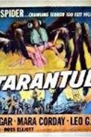 Tarântula