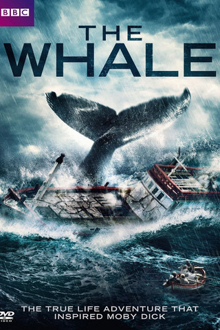 The Whale