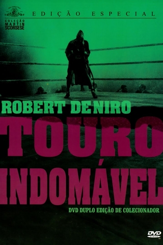 Touro Indomável