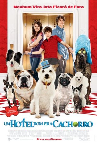 Um Hotel Bom pra Cachorro