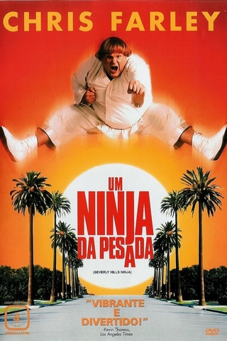 Um Ninja da Pesada