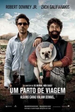 Um Parto de Viagem