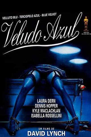 Veludo Azul