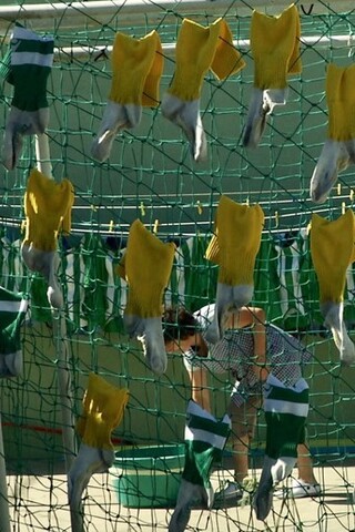 Viveiro