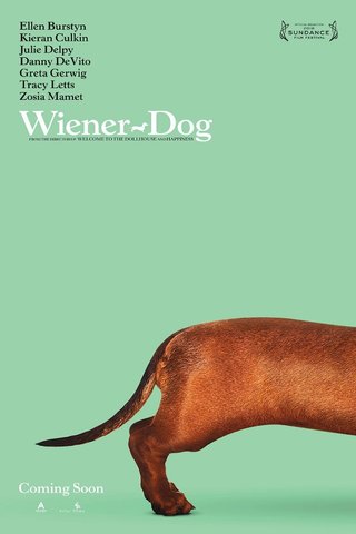 Wiener-Dog 